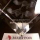 2014 – Top 5% Supplier (Meritor)